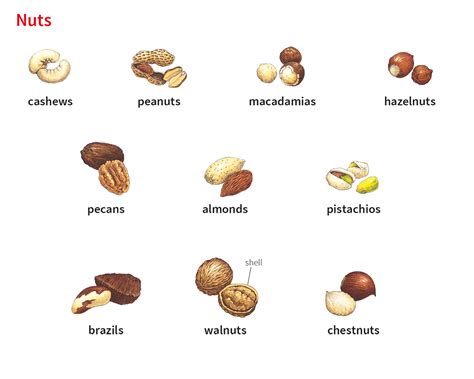 nut inglese|nut dictionary.